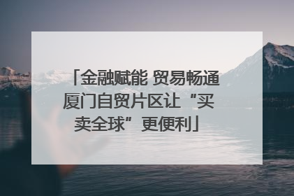 金融赋能 贸易畅通 厦门自贸片区让“买卖全球”更便利