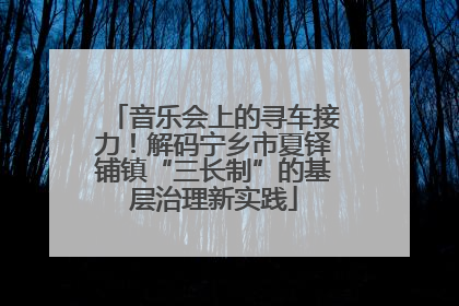 音乐会上的寻车接力！解码宁乡市夏铎铺镇“三长制”的基层治理新实践