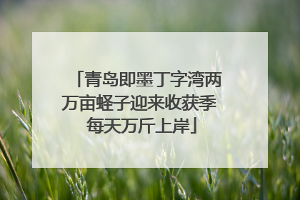 青岛即墨丁字湾两万亩蛏子迎来收获季 每天万斤上岸