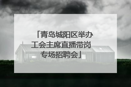 青岛城阳区举办工会主席直播带岗专场招聘会