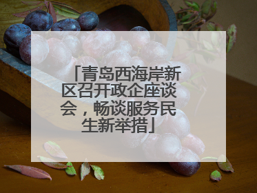 青岛西海岸新区召开政企座谈会，畅谈服务民生新举措
