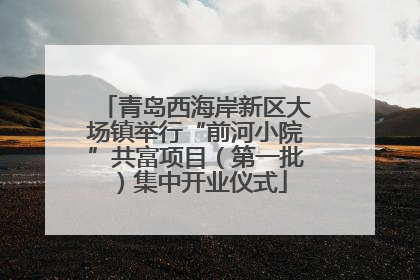 青岛西海岸新区大场镇举行“前河小院”共富项目（第一批）集中开业仪式