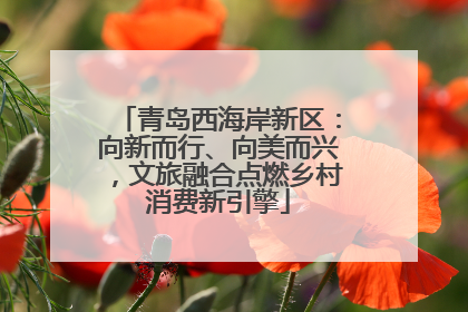 青岛西海岸新区：向新而行、向美而兴，文旅融合点燃乡村消费新引擎