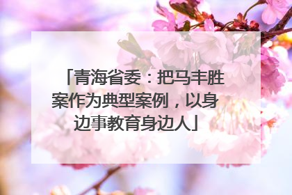 青海省委：把马丰胜案作为典型案例，以身边事教育身边人