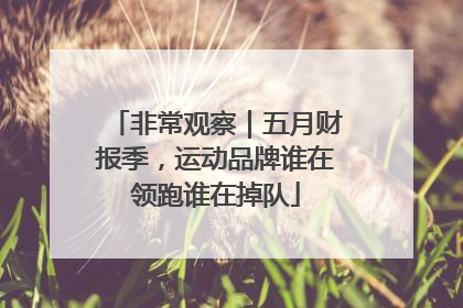 非常观察｜五月财报季，运动品牌谁在领跑谁在掉队
