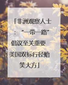 非洲观察人士：“一带一路”倡议至关重要 美国双标行径贻笑大方