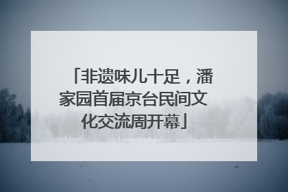 非遗味儿十足，潘家园首届京台民间文化交流周开幕