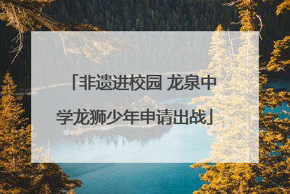 非遗进校园 龙泉中学龙狮少年申请出战