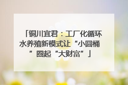 铜川宜君：工厂化循环水养殖新模式让“小圆桶”圈起“大财富”