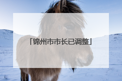 锦州市市长已调整