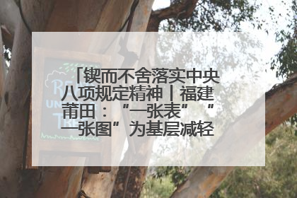 锲而不舍落实中央八项规定精神丨福建莆田：“一张表”“一张图”为基层减轻“数字负担”
