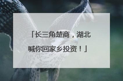 长三角楚商，湖北喊你回家乡投资！