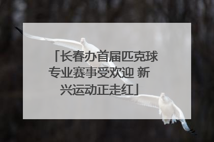 长春办首届匹克球专业赛事受欢迎 新兴运动正走红