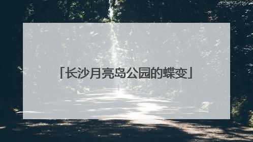 长沙月亮岛公园的蝶变