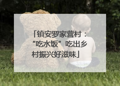 镇安罗家营村：“吃水饭”吃出乡村振兴好滋味