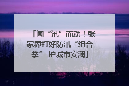 闻“汛”而动！张家界打好防汛“组合拳” 护城市安澜