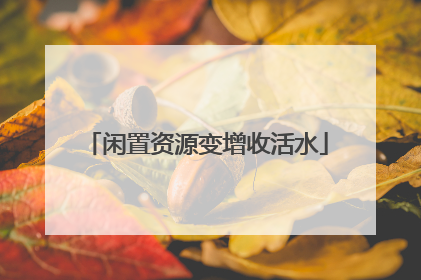 闲置资源变增收活水