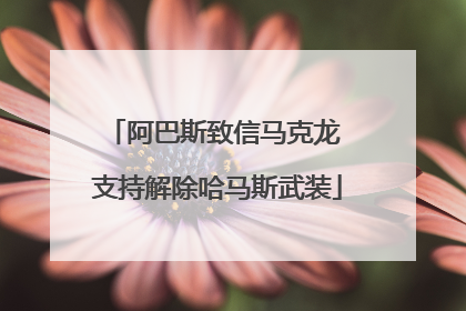 阿巴斯致信马克龙 支持解除哈马斯武装