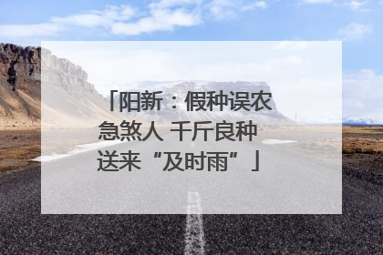 阳新：假种误农急煞人 千斤良种送来“及时雨”