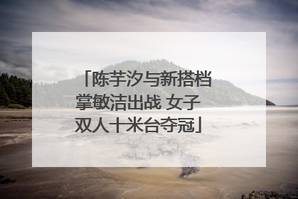 陈芋汐与新搭档掌敏洁出战 女子双人十米台夺冠