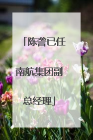 陈詟已任南航集团副总经理