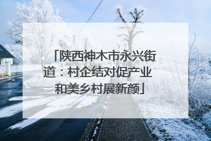 陕西神木市永兴街道：村企结对促产业 和美乡村展新颜