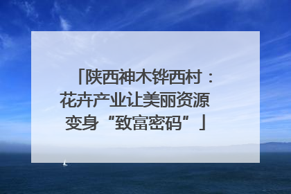陕西神木铧西村：花卉产业让美丽资源变身“致富密码”