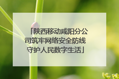 陕西移动咸阳分公司筑牢网络安全防线守护人民数字生活