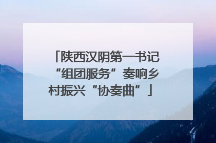陕西汉阴第一书记“组团服务”奏响乡村振兴“协奏曲”
