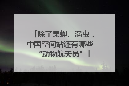 除了果蝇、涡虫，中国空间站还有哪些“动物航天员”