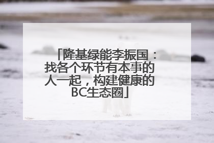 隆基绿能李振国：找各个环节有本事的人一起，构建健康的BC生态圈