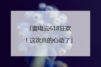雷电云618狂欢！这次真的心动了