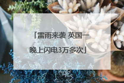 雷雨来袭 英国一晚上闪电3万多次