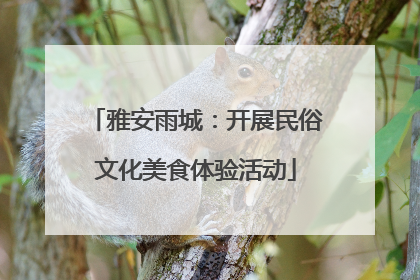 雅安雨城：开展民俗文化美食体验活动