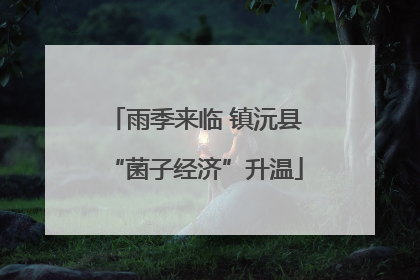 雨季来临 镇沅县“菌子经济”升温