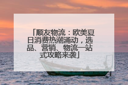 顺友物流：欧美夏日消费热潮涌动，选品、营销、物流一站式攻略来袭