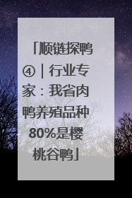 顺链探鸭④｜行业专家：我省肉鸭养殖品种80%是樱桃谷鸭