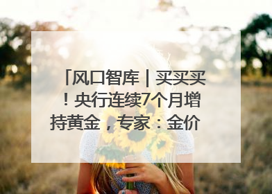 风口智库｜买买买！央行连续7个月增持黄金，专家：金价或仍易涨难跌