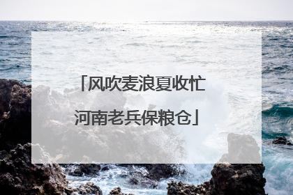 风吹麦浪夏收忙 河南老兵保粮仓