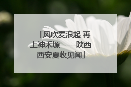 风吹麦浪起 再上神禾塬——陕西西安夏收见闻