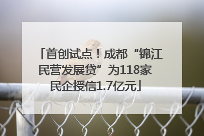 首创试点！成都“锦江民营发展贷”为118家民企授信1.7亿元