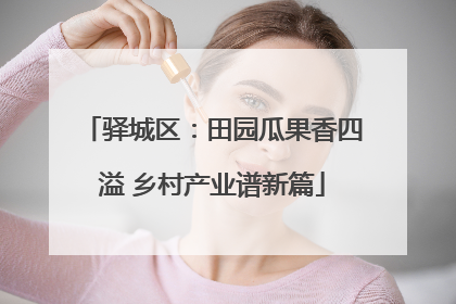 驿城区：田园瓜果香四溢 乡村产业谱新篇