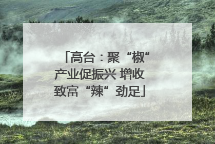 高台：聚“椒”产业促振兴 增收致富“辣”劲足