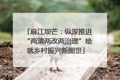 麻江坝芒：纵深推进“两清两改两治理”绘就乡村振兴新图景