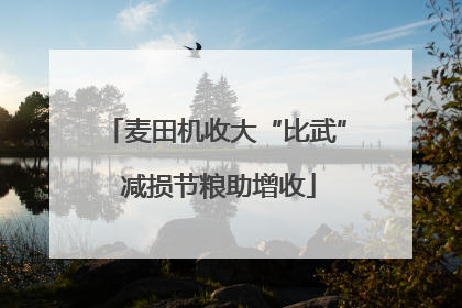 麦田机收大“比武” 减损节粮助增收