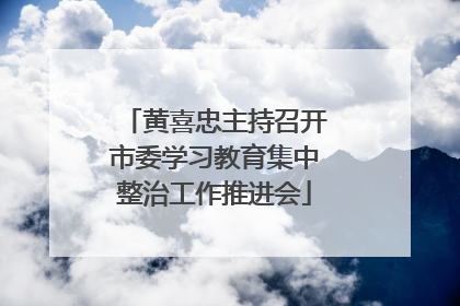 黄喜忠主持召开市委学习教育集中整治工作推进会