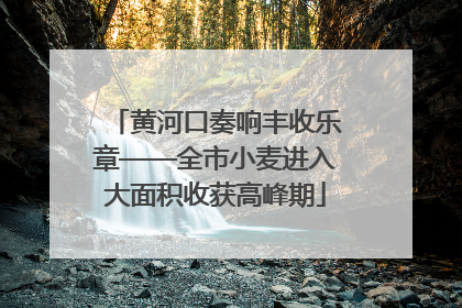 黄河口奏响丰收乐章——全市小麦进入大面积收获高峰期