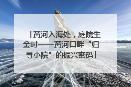 黄河入海处，庭院生金时——黄河口畔“归寻小院”的振兴密码