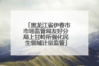 黑龙江省伊春市市场监管局友好分局上甘岭所强化民生领域计量监管
