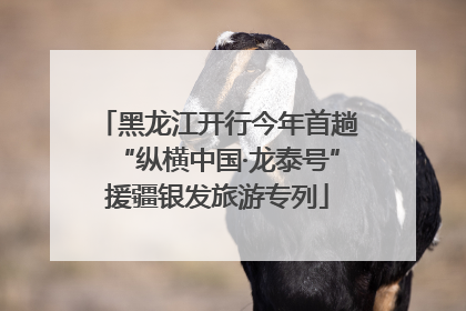 黑龙江开行今年首趟“纵横中国·龙泰号”援疆银发旅游专列